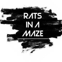 Rats in a Maze