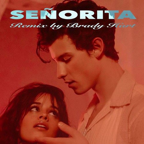 Shawn Mendes, Camila Cabello - Señorita (Brady Hart Remix)