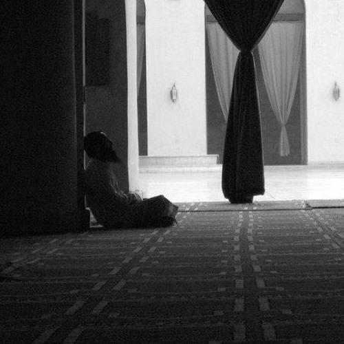 هوّن عليك .. كل الحياة مُغَادِرَة