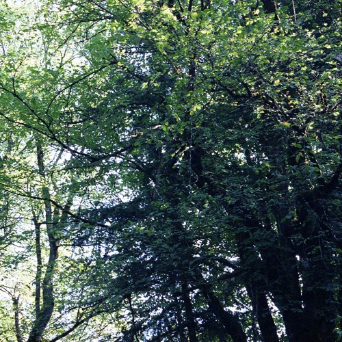 Deep Breakfast 014 - Parallelism