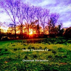 Stellar Flowtation - Complete Mix collection