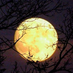 [FULL MOON] Travis Scott x Maaly Raw type beat (Prod: MarcBeat$)