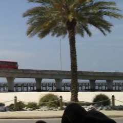 Diamonds Is A Girls Bestfriend