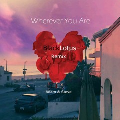 Adam & Steve - Whever You Are(BlackLotus Remix)