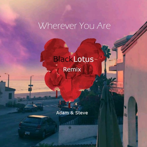 Adam & Steve - Whever You Are(BlackLotus Remix)