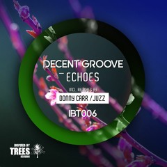Decent Groove - Echoes (Donny Carr Remix)