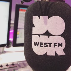 Ring Doorbell's are comedy gold