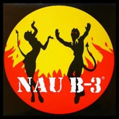 NAU B3-El Bosque de Colores