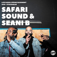 SPRING BASHMENT 2019 - SAFARI WARMUP SEGMENT
