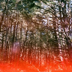 shi don ave 2b perfec