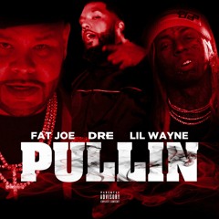 Fat Joe, Dre, Lil Wayne - Pullin