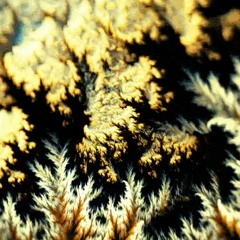 FREE Tory Lanez Type Beat - "Talk To Me Nice" Feat. Trippie Redd - (Prod. FeverBeats)