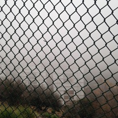 BryBenBru.... Exposure