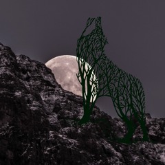 Lobo, la piel sólo recuerda el tiempo