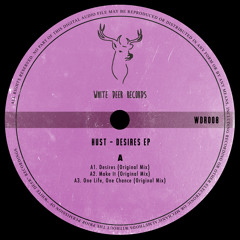 PREMIERE: Hust - Desires [Original Mix] (WDR008)