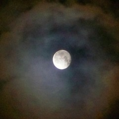 Skyless Moon (Mac Demarco cover)