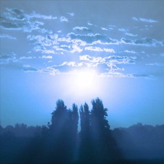 Mmignon_Ambient (2010)