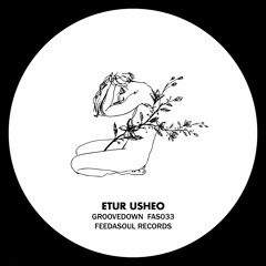 PREMIERE: Etur Usheo - Down In The Groove [Feedasoul]