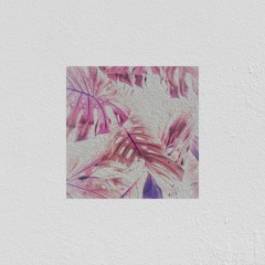 Vines