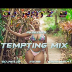 Tempting (FAST) Bashment MIX 2019 @Djnatzb