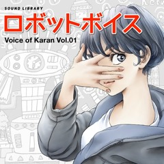 Sound Like The 80s - Craft Work for Airports-