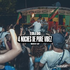 Toledo - 4 Noches De Pure Vibez (Mixed By DjP)