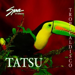 Spa In Disco - Tropical Disco #018 - TATSU