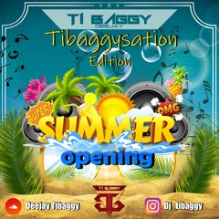 Tibaggysation Summer Opening