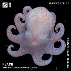 Peach 018 - DEEP DIVE: Underwater Records