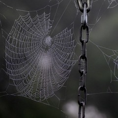 Fée Doba (TonyMix et Ti Babas remix)