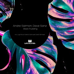 Premiere: Andre Salmon, Dave Sanz - Black Pudding (Luigi Rocca Remix) [Witty Tunes]