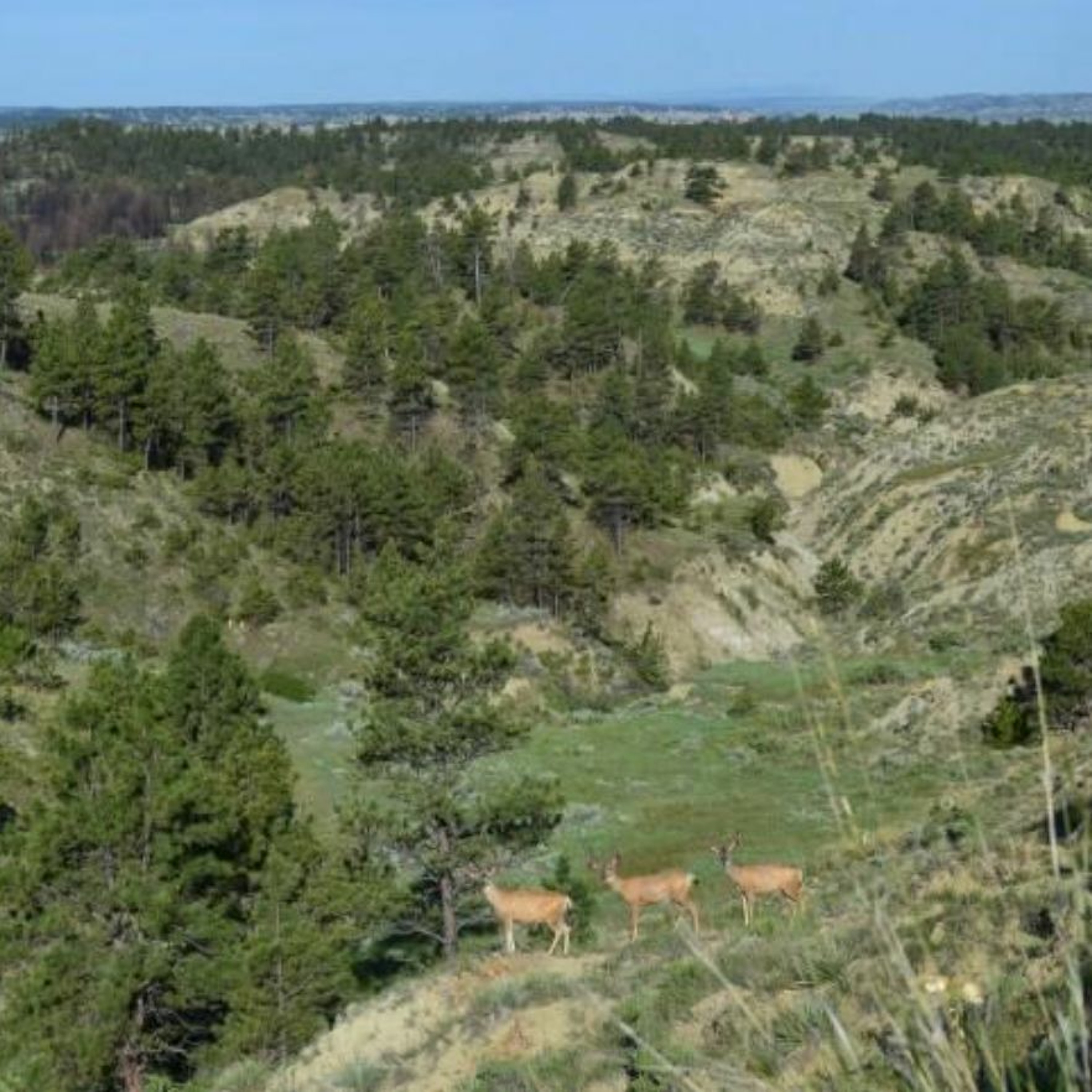 Trail of the Week