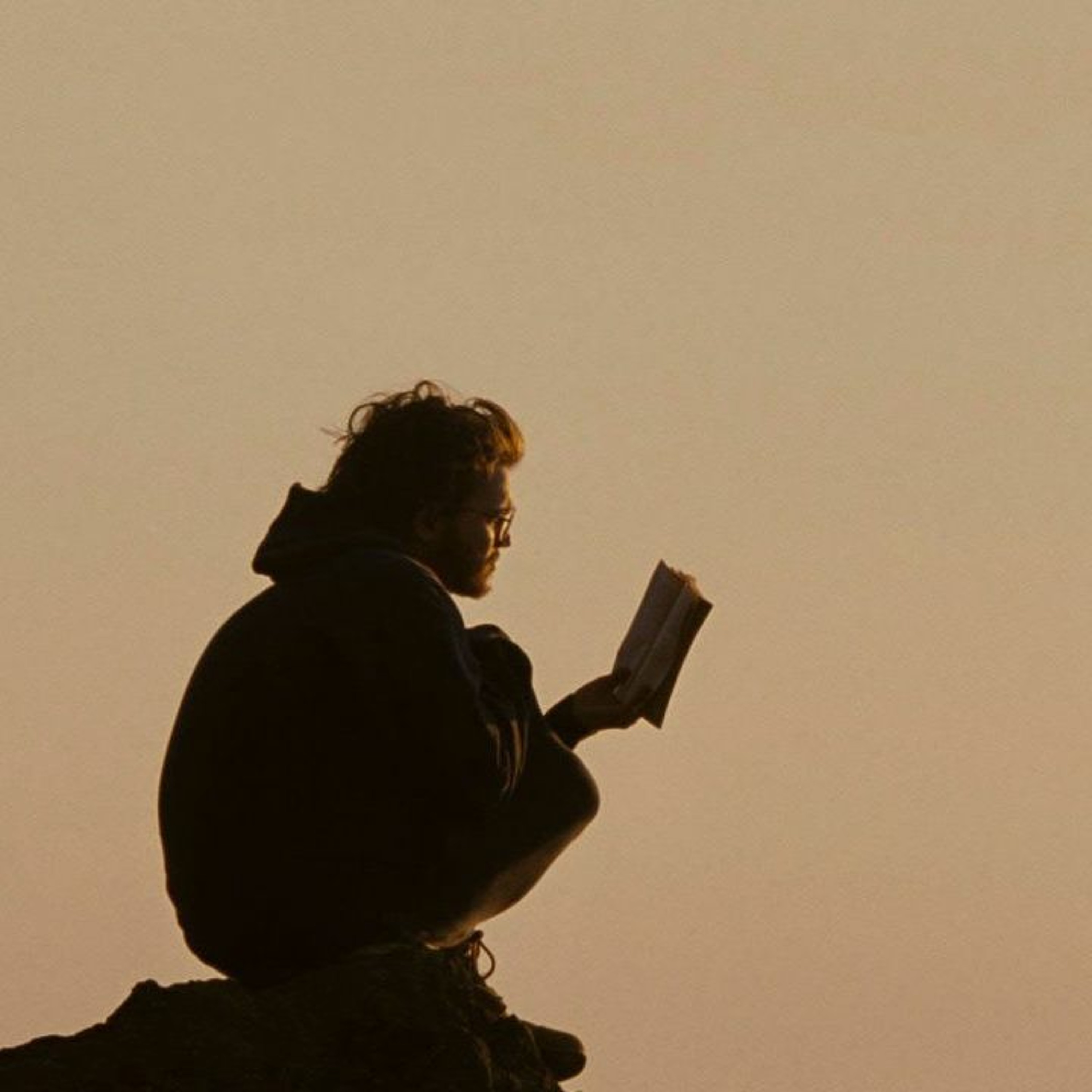 into the wild episode artwork