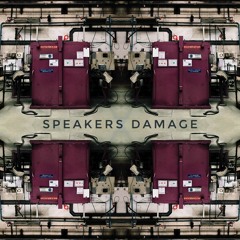 Speakers Damage