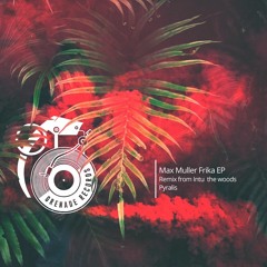 Max Muller - Frika (Intu The Woods Remix)