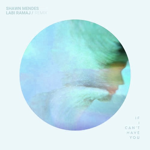 Shawn Mendes - If I Can`t Have You (Labi Ramaj Remix)