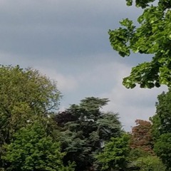 0418 Cstdt 006 E 001 [WIP]