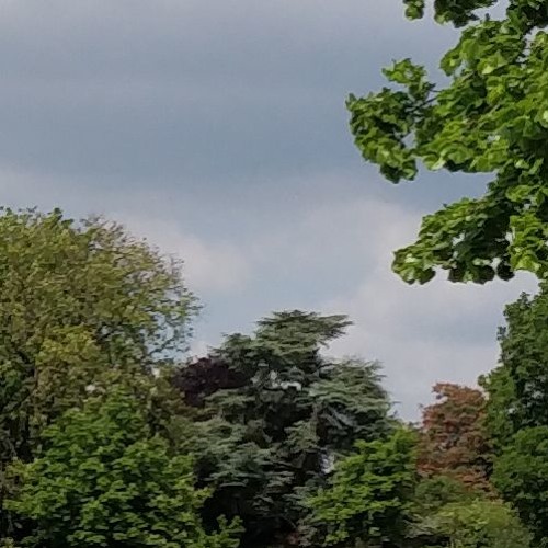 0418 Cstdt 006 E 001 [WIP]