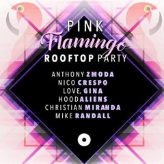 Z Radio 015 - Anthony Zmoda Live At It's A Journey Pink Flamingo Rooftop Party San Jose