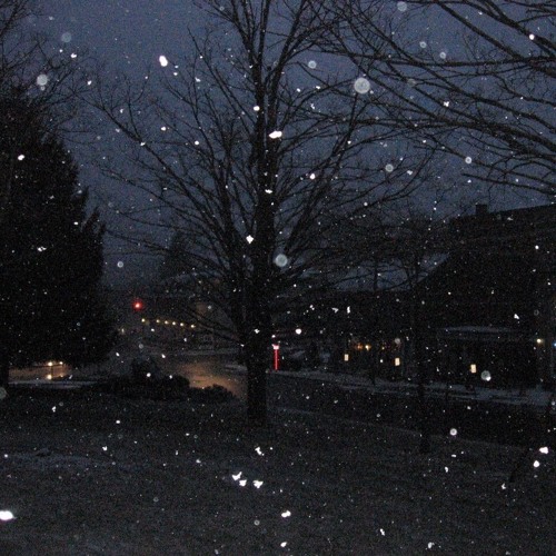 never,forever. - you could have stayed (nevrfall flip)