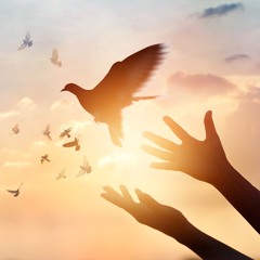 Meditation for Empaths and Starseeds to Heal Trauma