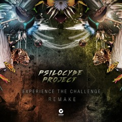Experience The Challenge (Remake)