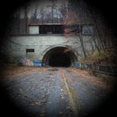 disregarded emotions