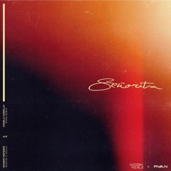 Shawn Mendes, Camila Cabello - Señorita (Keepin It Heale & RYAN Remix)* SUPPORTED ON CAPITAL FM*