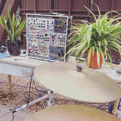 The Secret Music Of Plants - Director's Cut