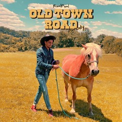 Have Some Gosht (Old Town Road Parody)