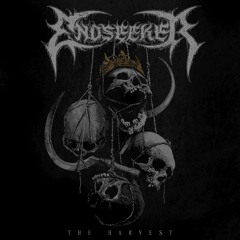 Endseeker "Spiritual Euphoria"