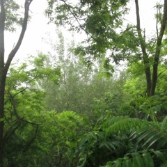 big god (florence + the machine cover 🌻)