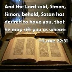 The Sifting.m4a
