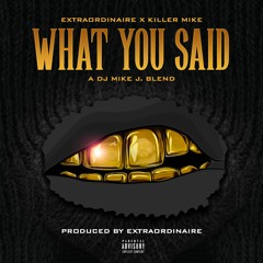 What You Said featuring Killer Mike (DJ Mike J Blend)